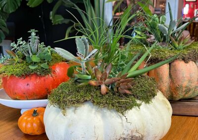 How to Easily Create a Beautiful Harvest Centerpiece with Succulents, Pumpkins and Gourds