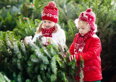 How to Choose the Perfect Christmas Tree