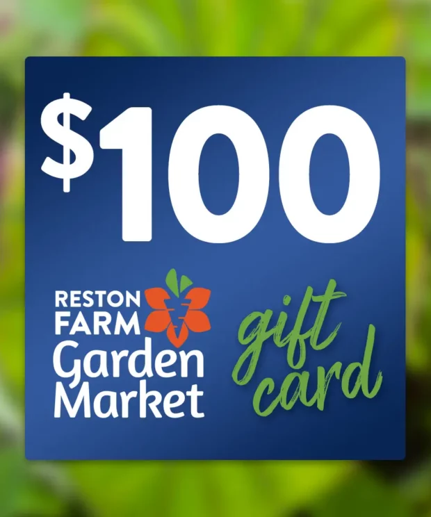 Reston Farm Garden Market $100 Gift Card