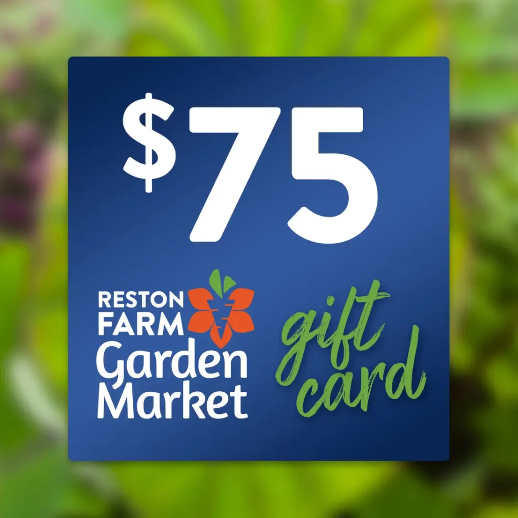 Reston Farm Garden Market $75 Gift Card