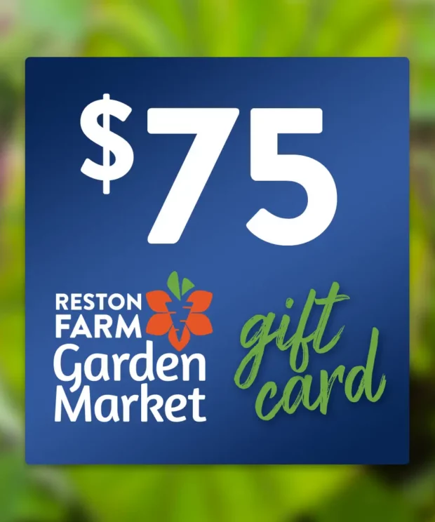 Reston Farm Garden Market $75 Gift Card