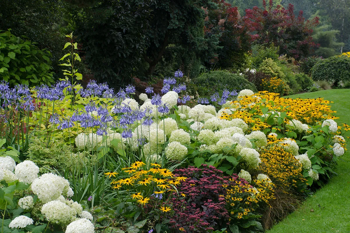 Color Wheel Garden Complementary