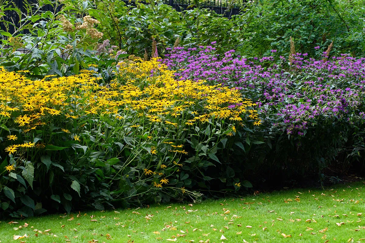 Color Wheel Garden