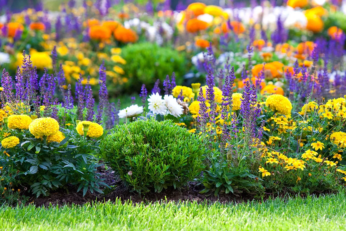 Color Wheel Garden Triad