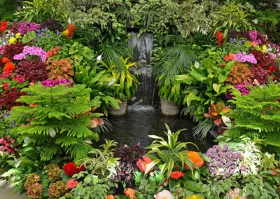 Plan Your Garden Around the Color Wheel