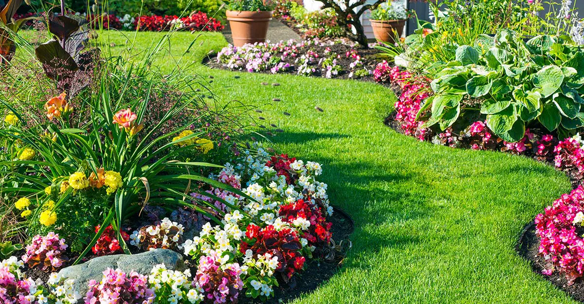 Plant annuals and perennials together for continuous color in your garden.