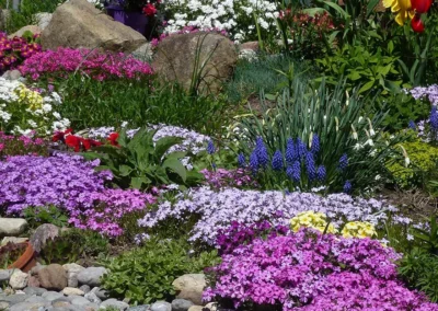 Design Your Garden for Year-Round Blooms & Interest