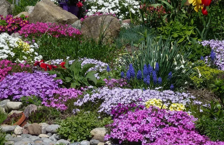 Planning your garden for year-round interest