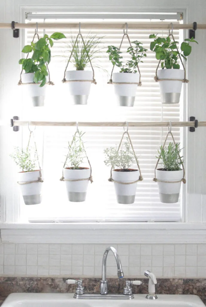 kitchen herb garden 2