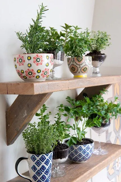 kitchen herb garden 6