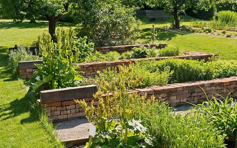 permaculture food forest