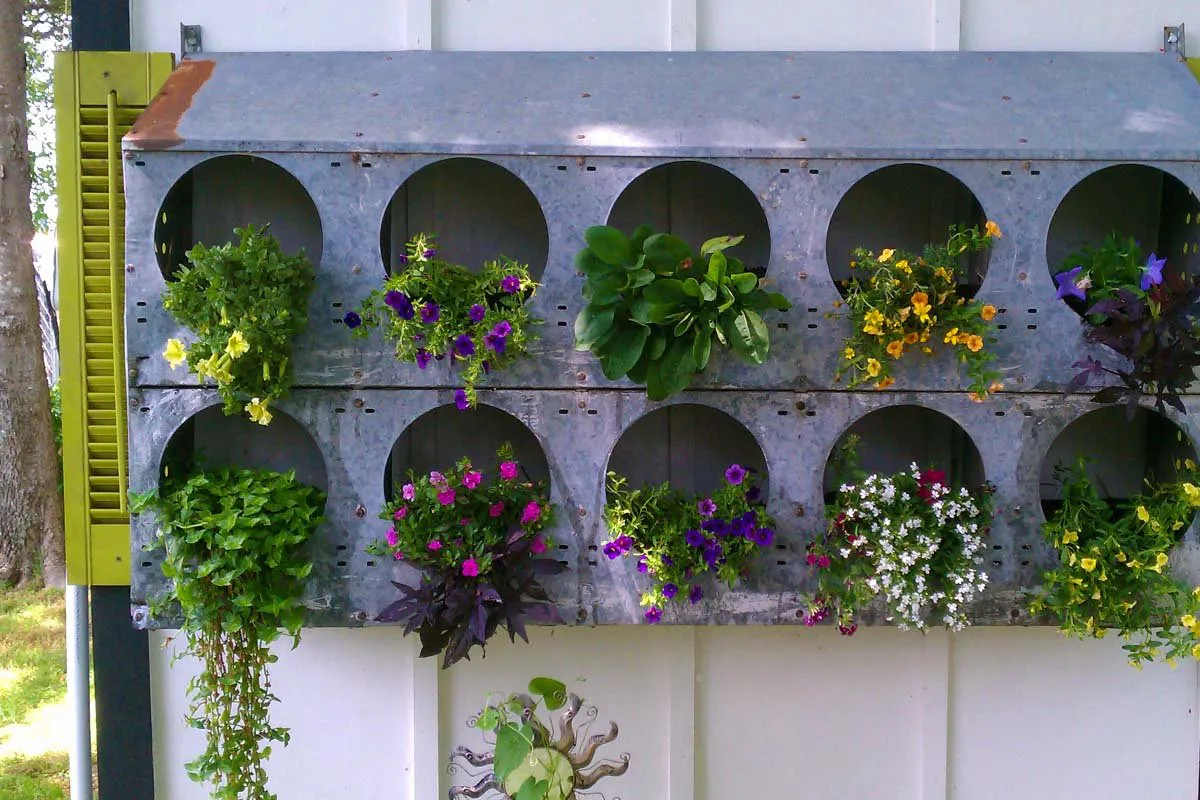 vertical garden 2