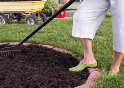 Your Mulch Questions Answered