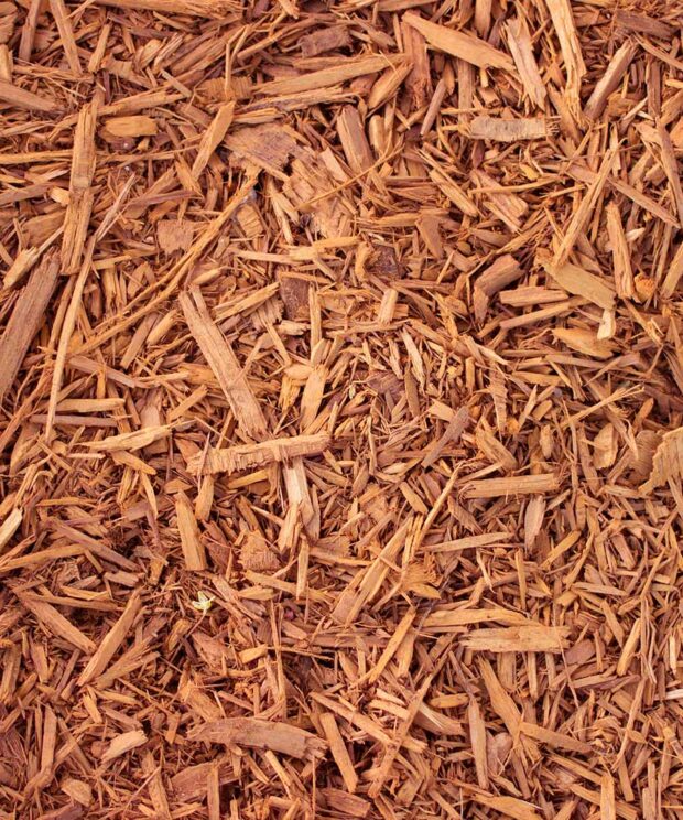 Buy shredded cedar mulch near me