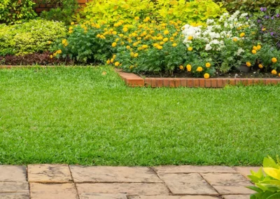 Organic Lawn Care Tips (Thanks, Espoma!)