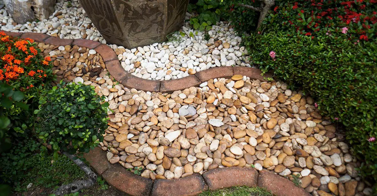 Rock Garden Inspiration