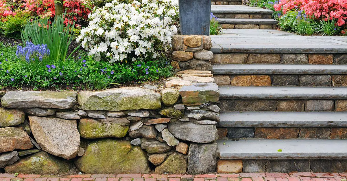 Rock Garden Inspiration