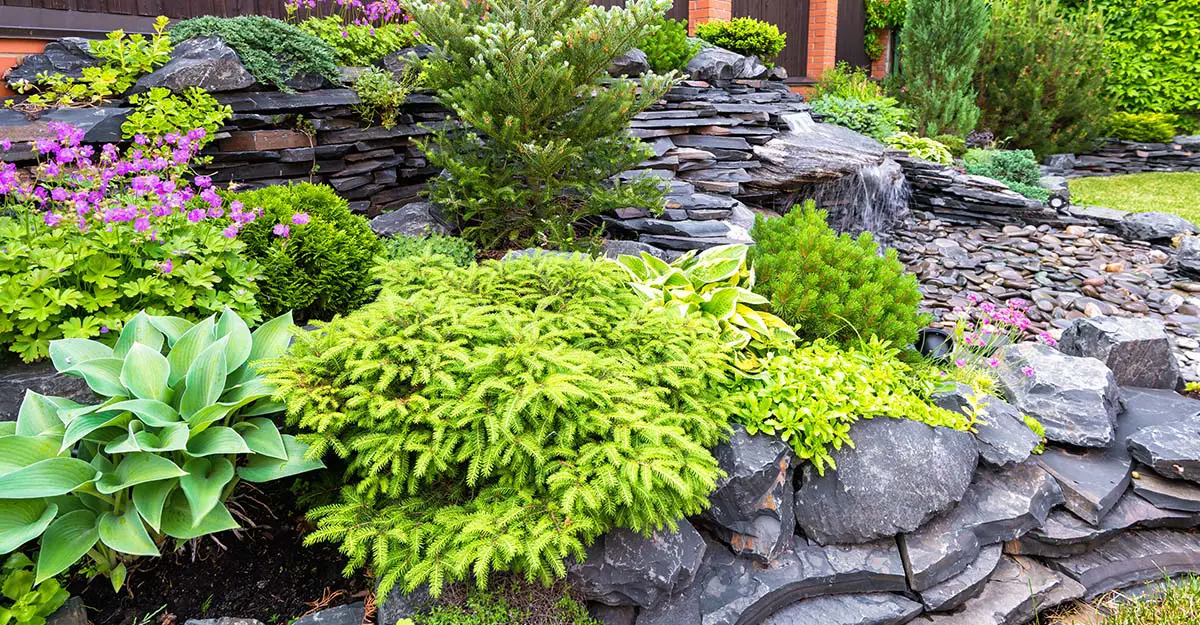 Rock Garden Inspiration