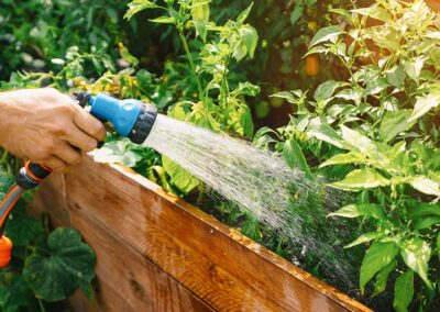 Quenching Your Plants’ Thirst: How to Properly Water Your Plants