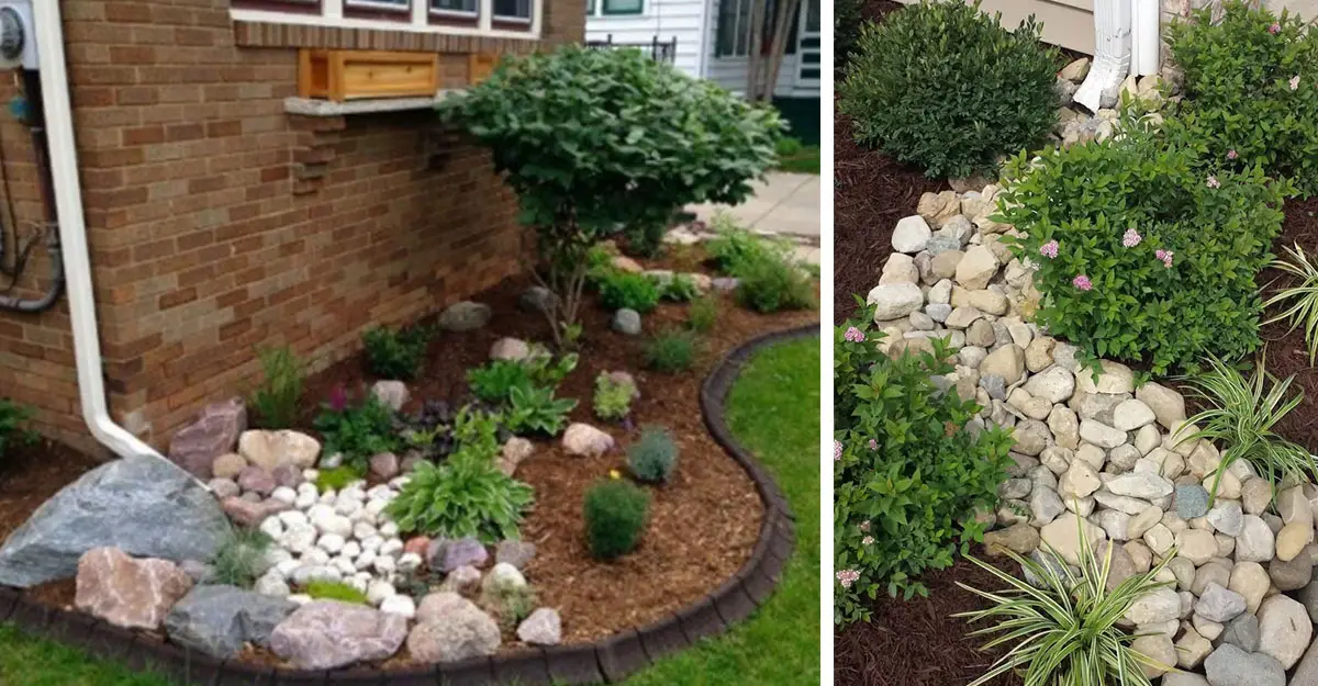 Downspout garden ideas as mini rain garden.