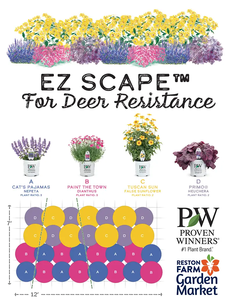 Proven Winners EZ Scapes for Deer Resistance