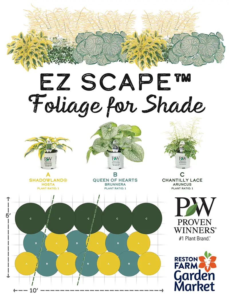 Proven Winners EZ Scapes Foliage for Shade