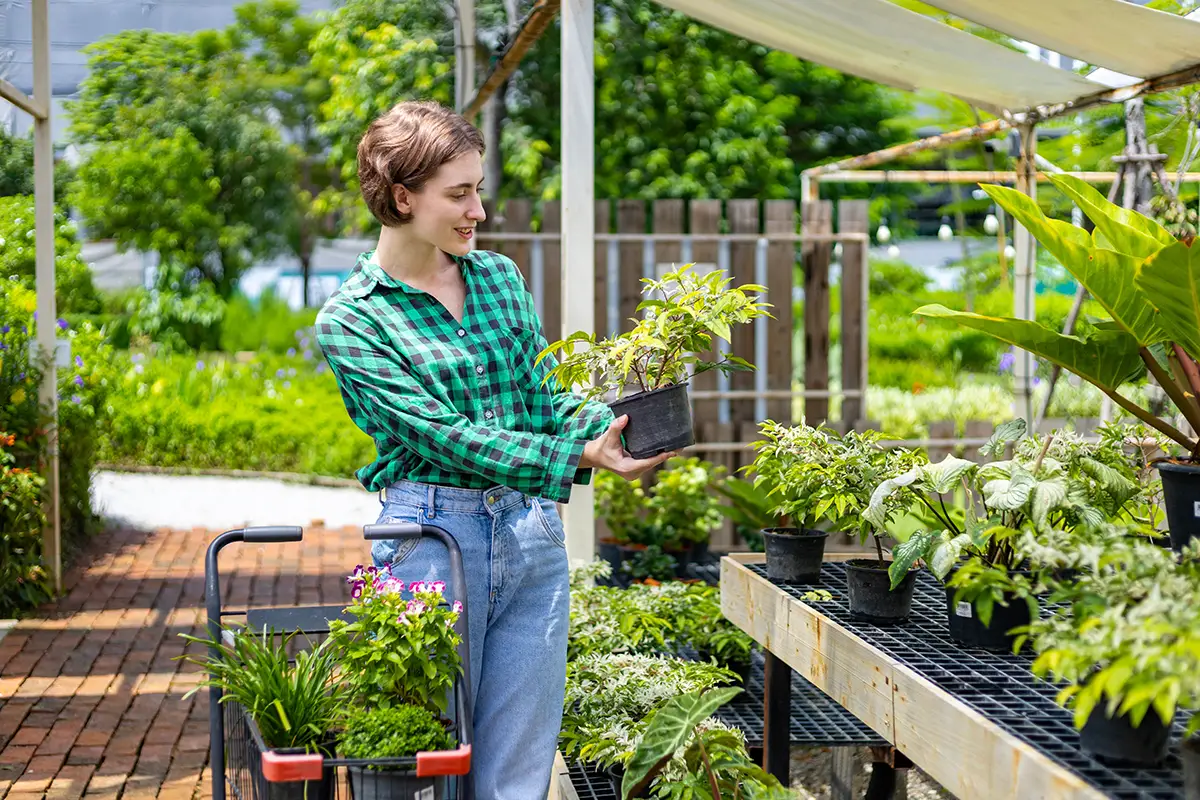 Customer selecting plant at garden center.