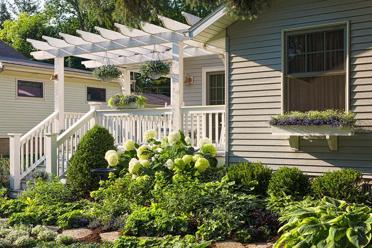 Smooth Hydrangea in garden. Photo Courtesy of Proven Winners.