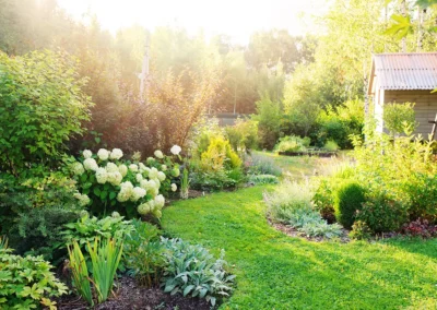 Turn Your Winter Blues into Garden To-do’s