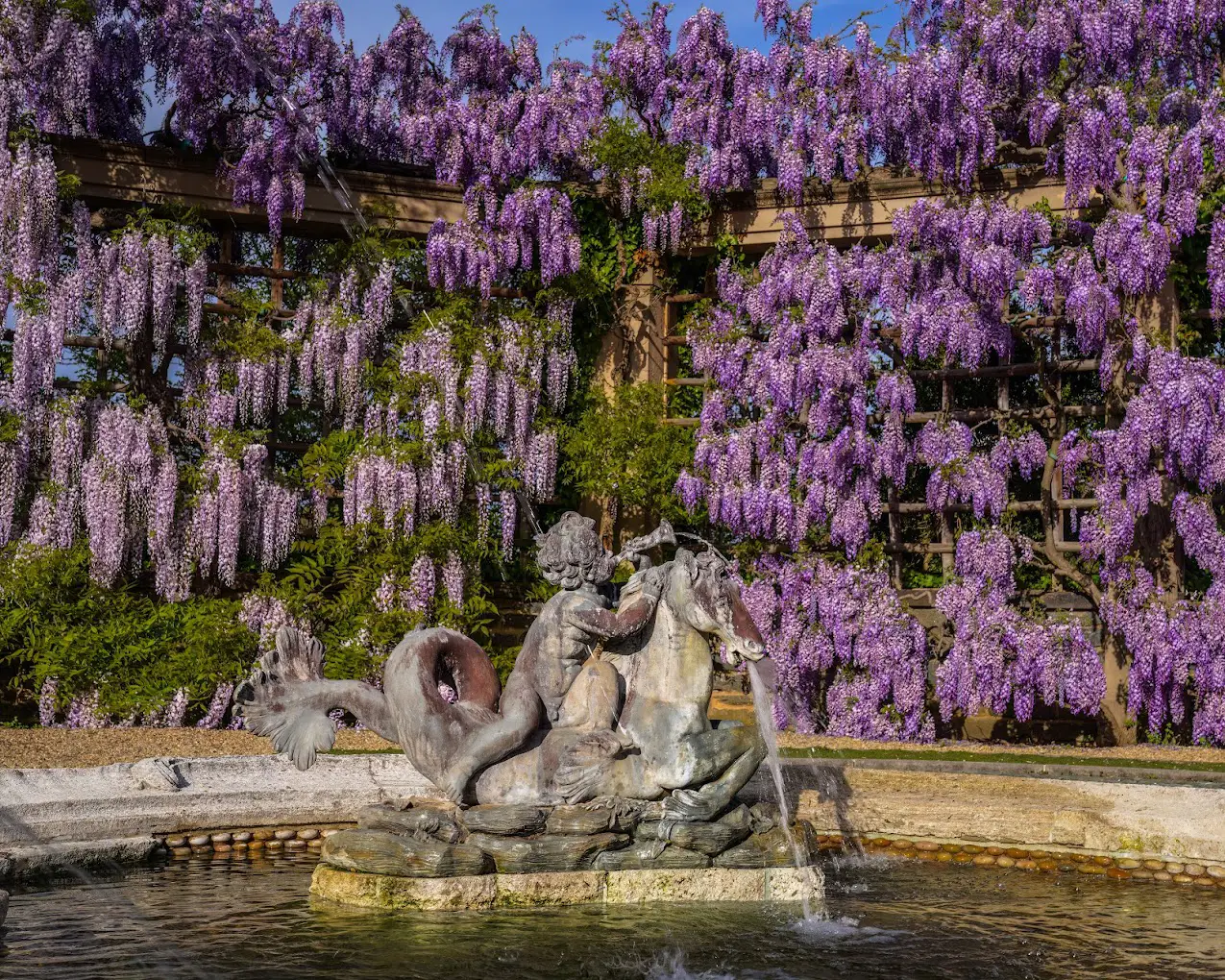 Dumbarton Oaks Gardens in Washington DC