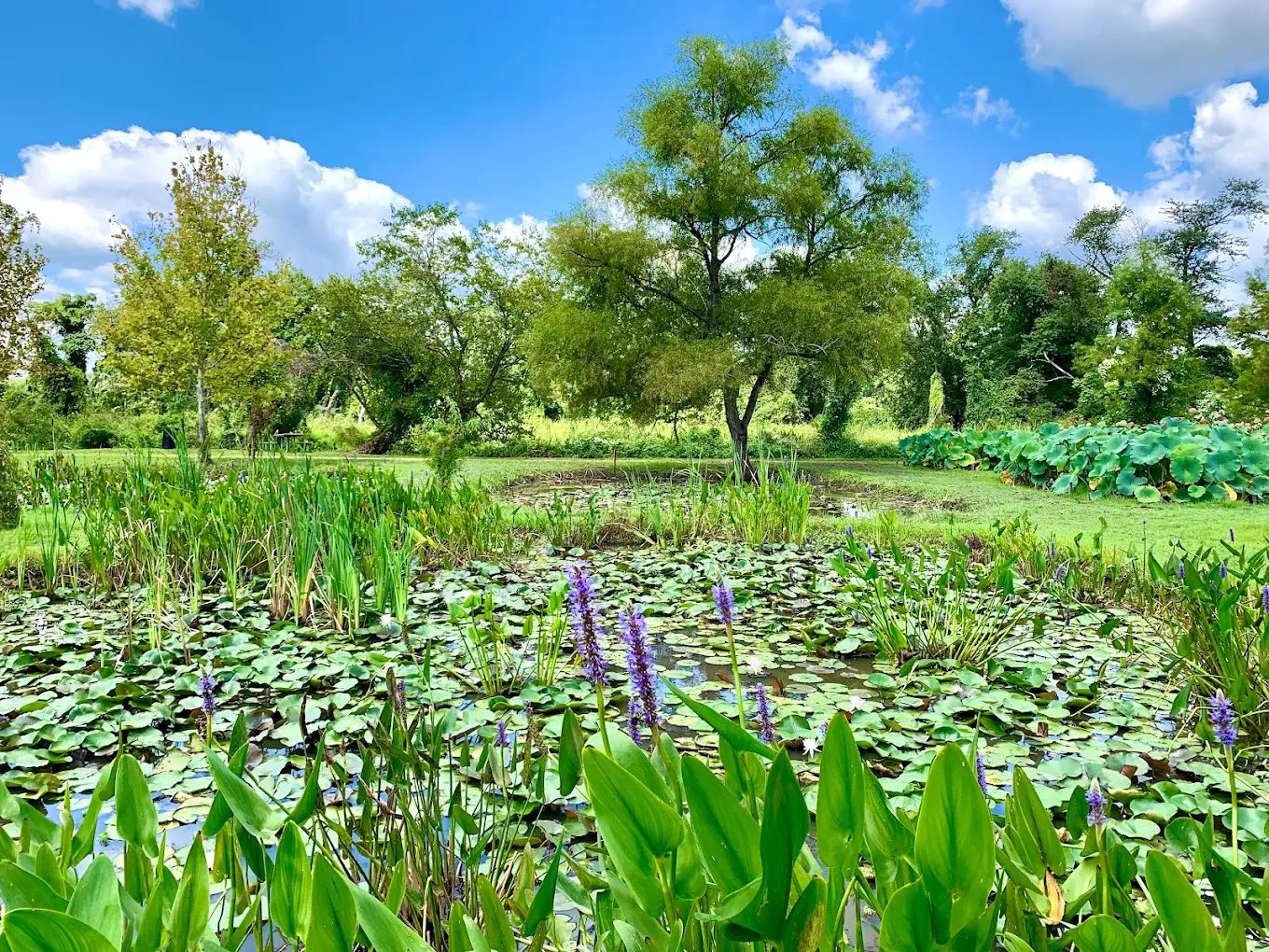 Kenilworth Park & Garden