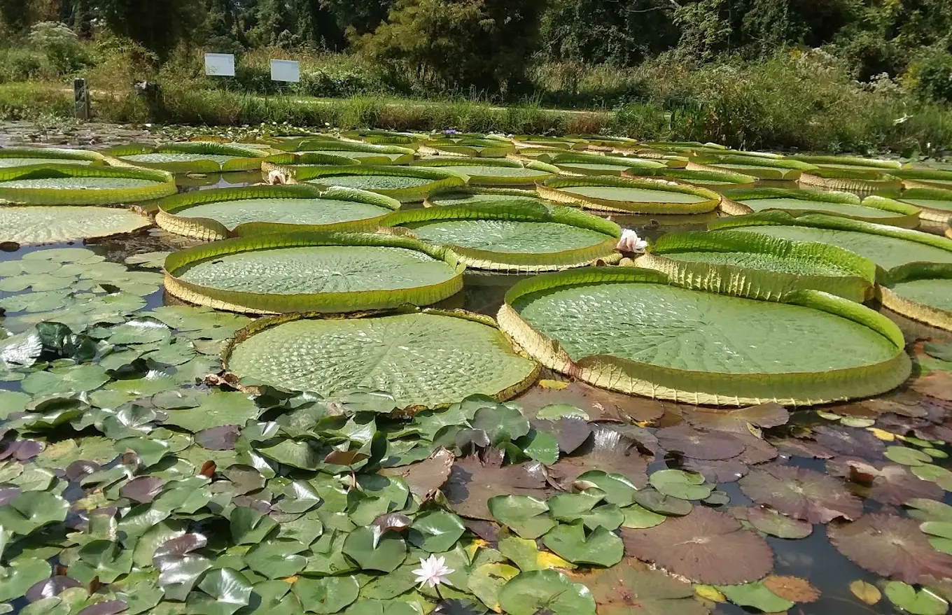 Kenilworth Park & Garden