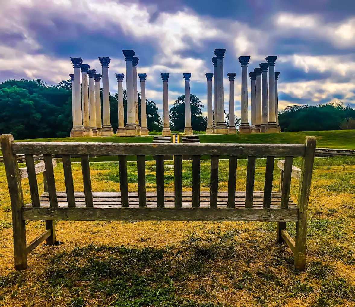 U.S. National Arboretum in Washington DC