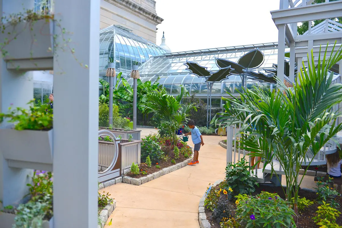 United States Botanical Gardens in Washington, DC