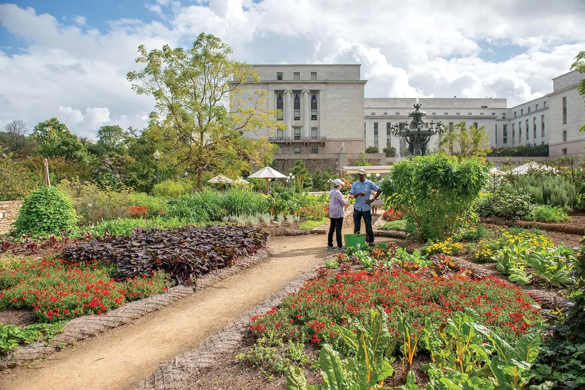 United States Botanical Gardens Kitchen Garden Bertholdi Park in Washington, DC