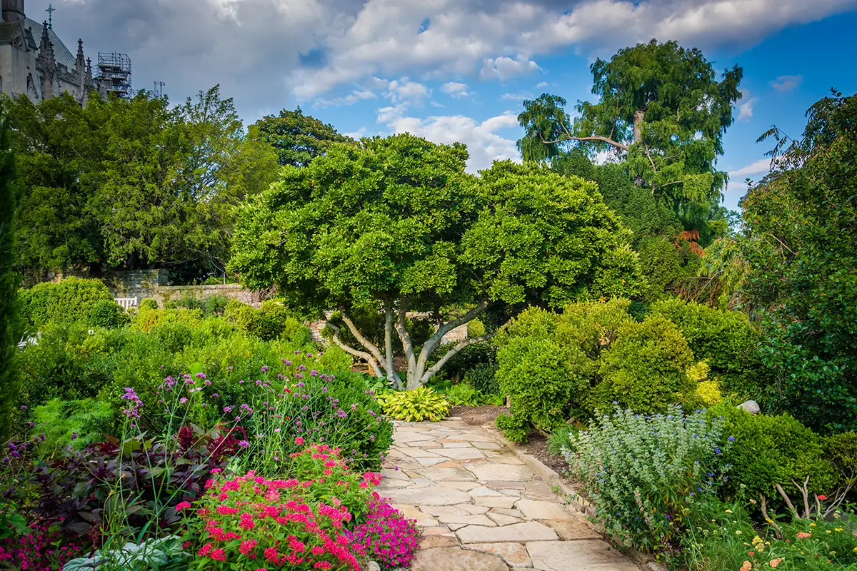 The National Cathedral's Bishop Garden