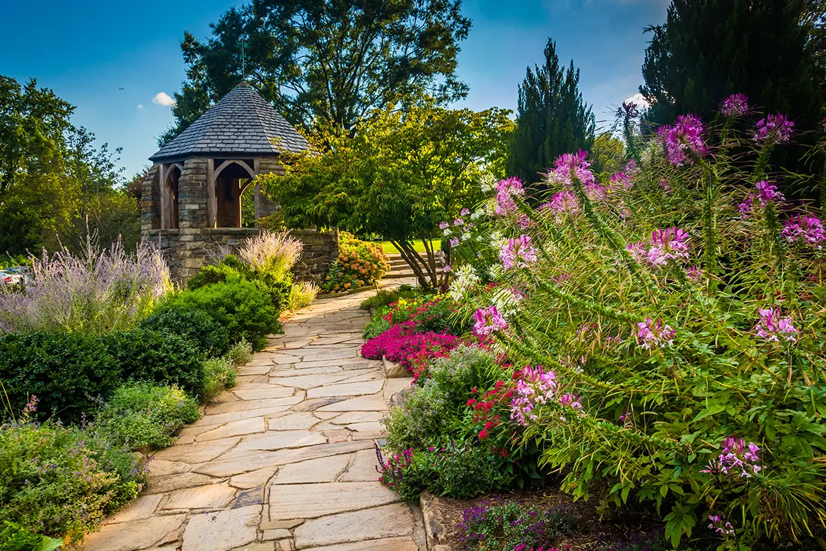 The National Cathedral's Bishop Garden