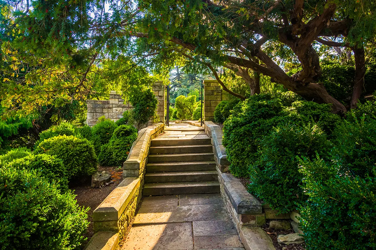 The National Cathedral's Bishop Garden