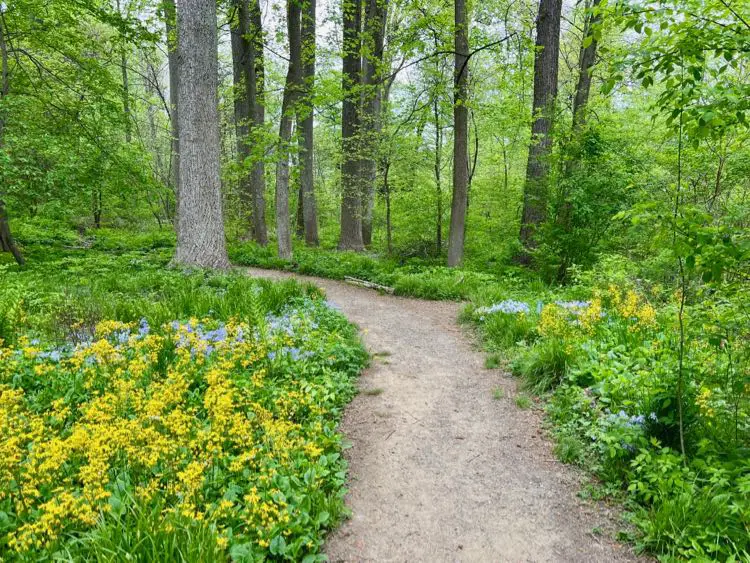 Green Spring Gardens