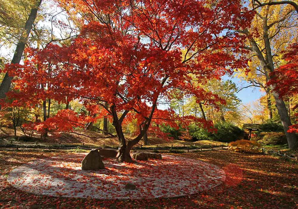 Maymont Gardens