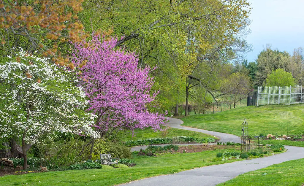 Meadowlark Botanical Gardens