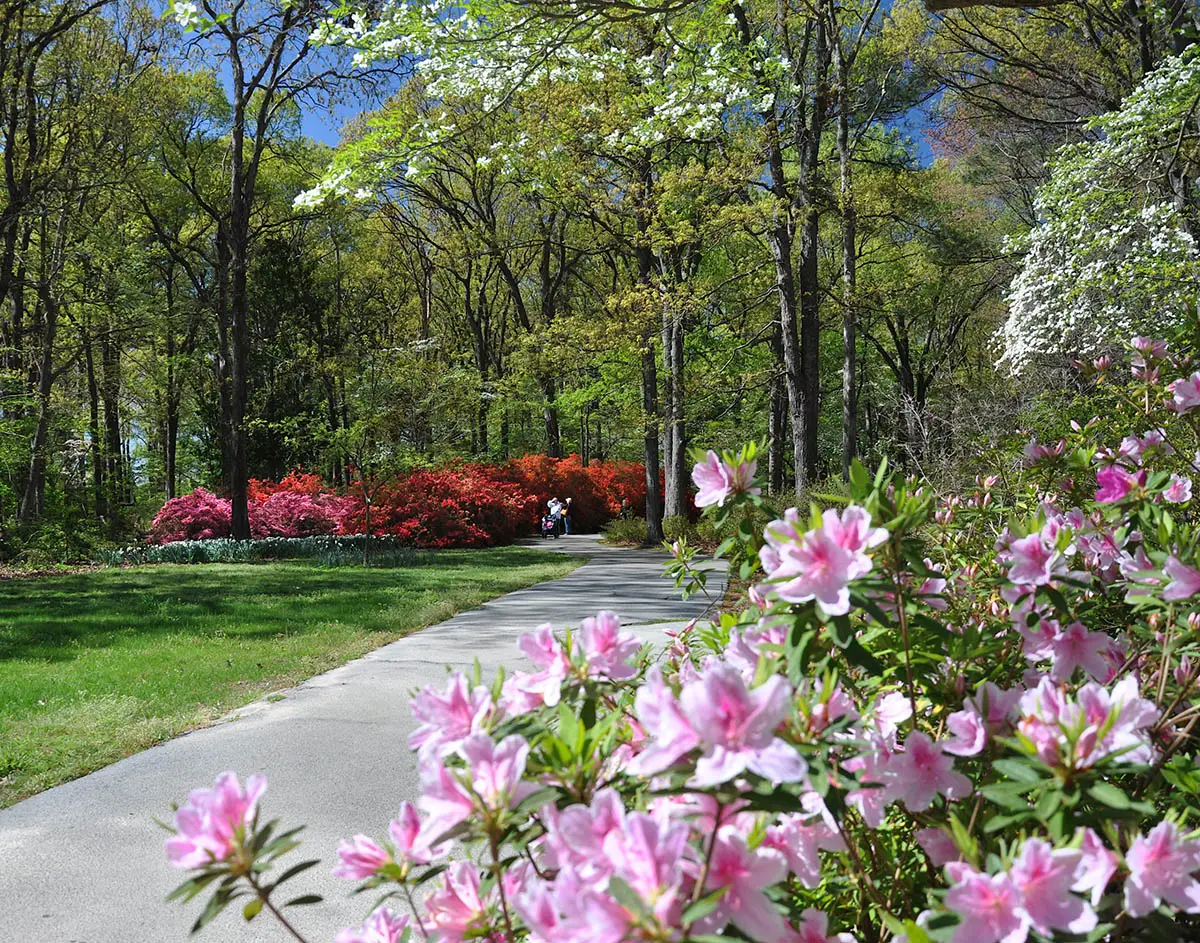 Norfolk Botanical Garden