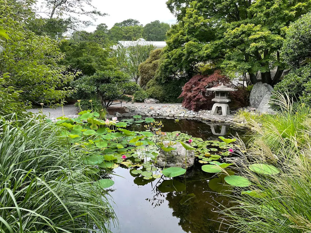 Norfolk Botanical Garden