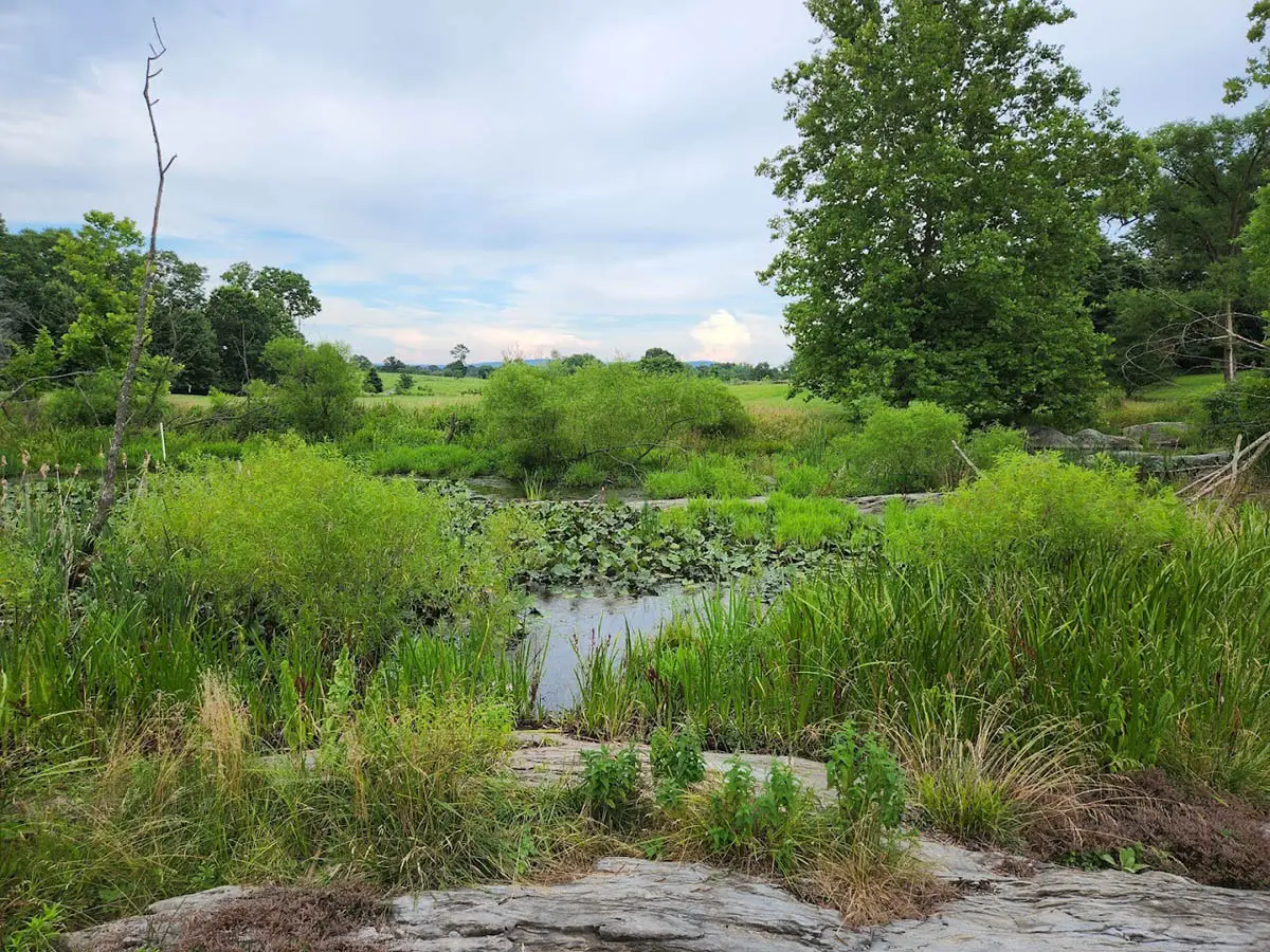 Virginia State Arboretum