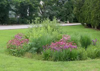 How To Start Your Own Rain Garden