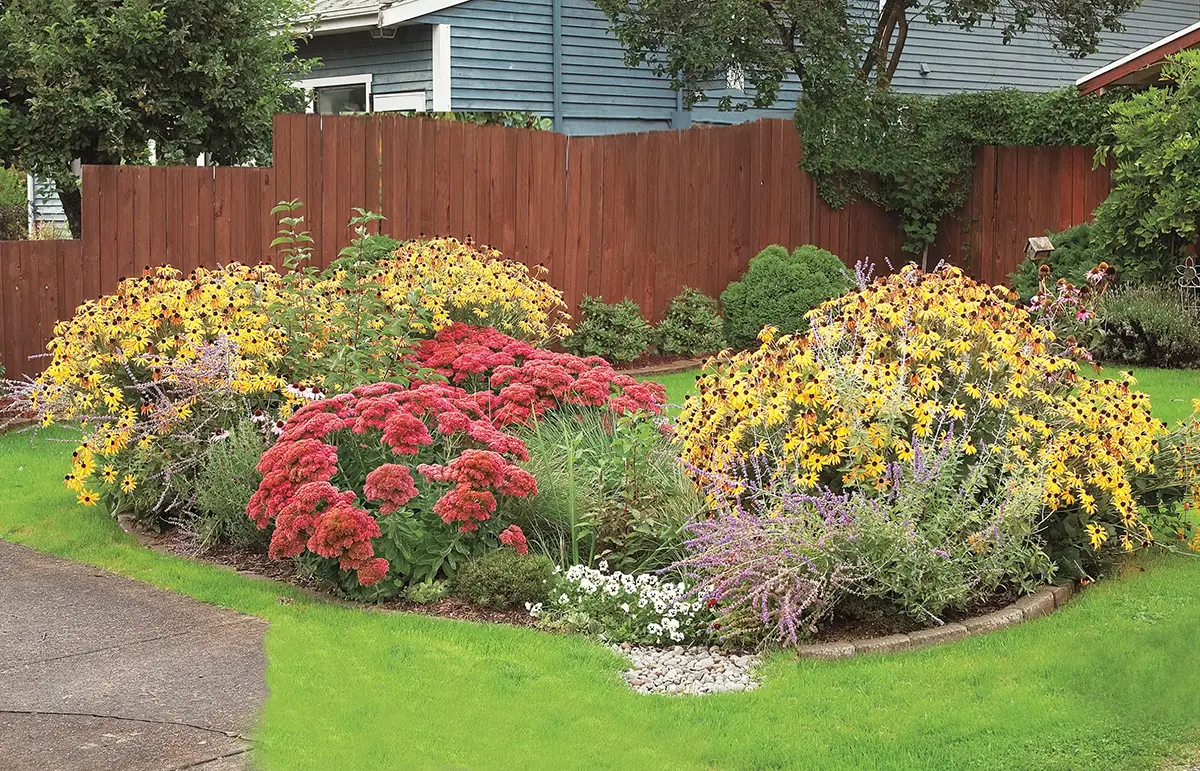 Rain Garden Example