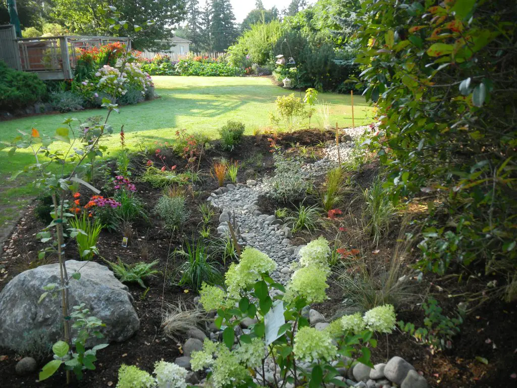 Rain Garden Example