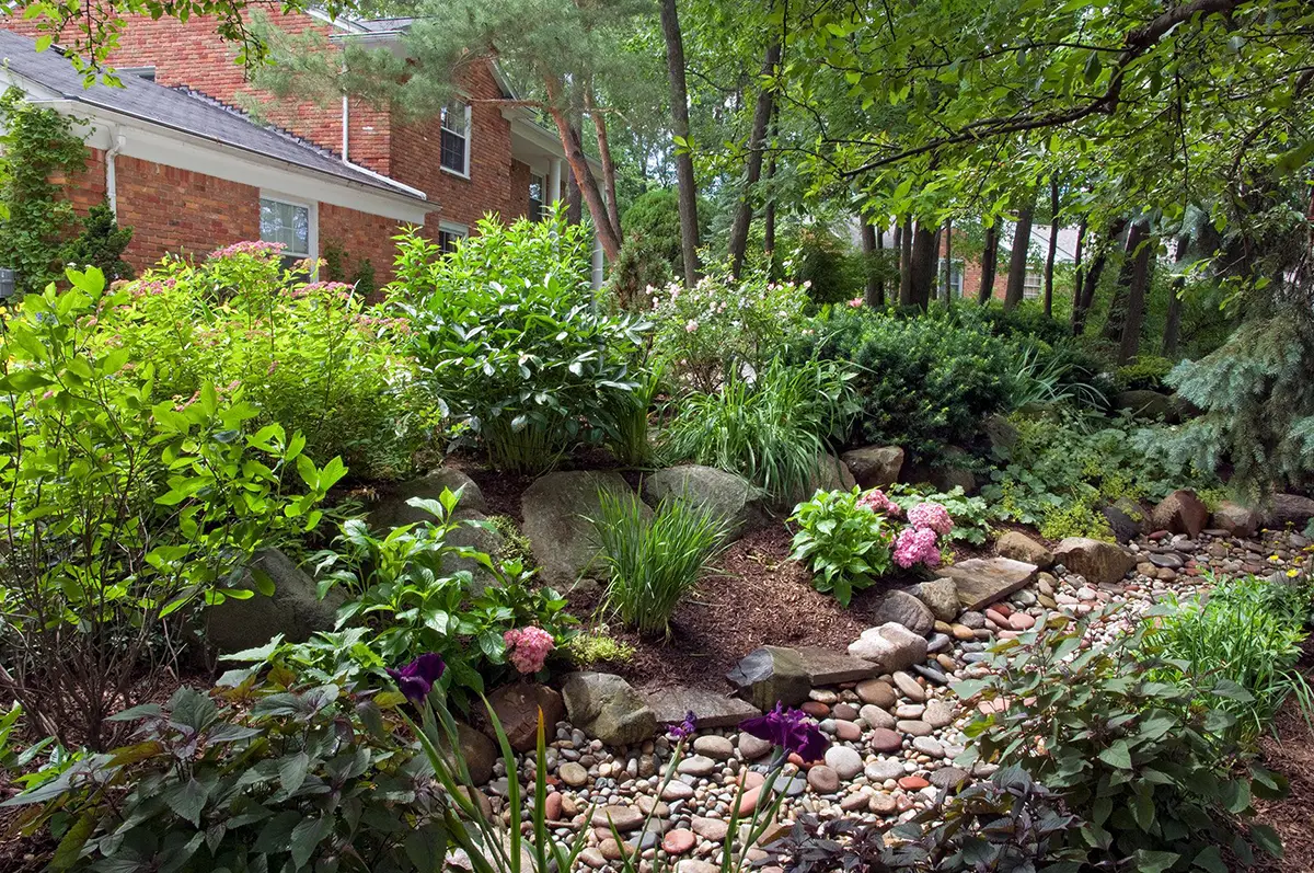 Rain Garden Example