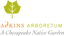 Adkins Arboretum Logo