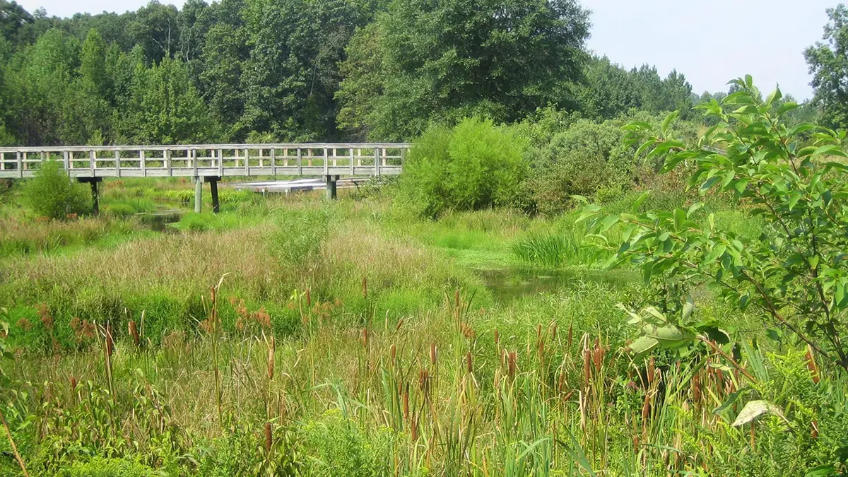 Adkins Arboretum